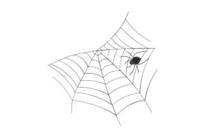 Angled Spider Web Embroidery Design