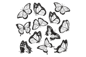 Butterfly Outline Bundle Embroidery Design