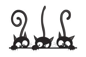Curious Black Cats Embroidery Design