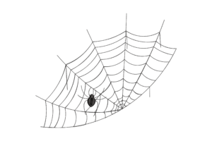 Curved Spider Web Embroidery Design