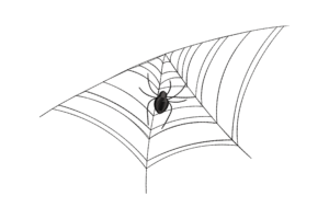Spider on Web Embroidery Design