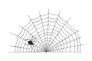 Symmetric Spider Web Embroidery Design