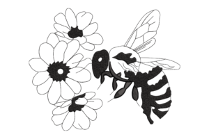 Bee and Daisies Embroidery Design