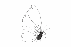 Minimal Line Art Butterfly Embroidery Design
