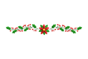 Poinsettia and Holly Border Embroidery Design