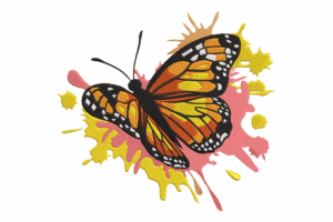 Butterfly Splash Embroidery Design