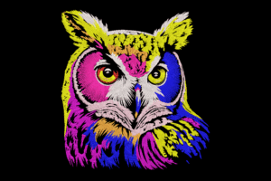 Colorful Owl Head Embroidery Design
