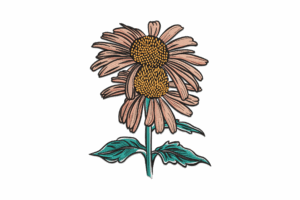 Coneflower Pair Embroidery Design