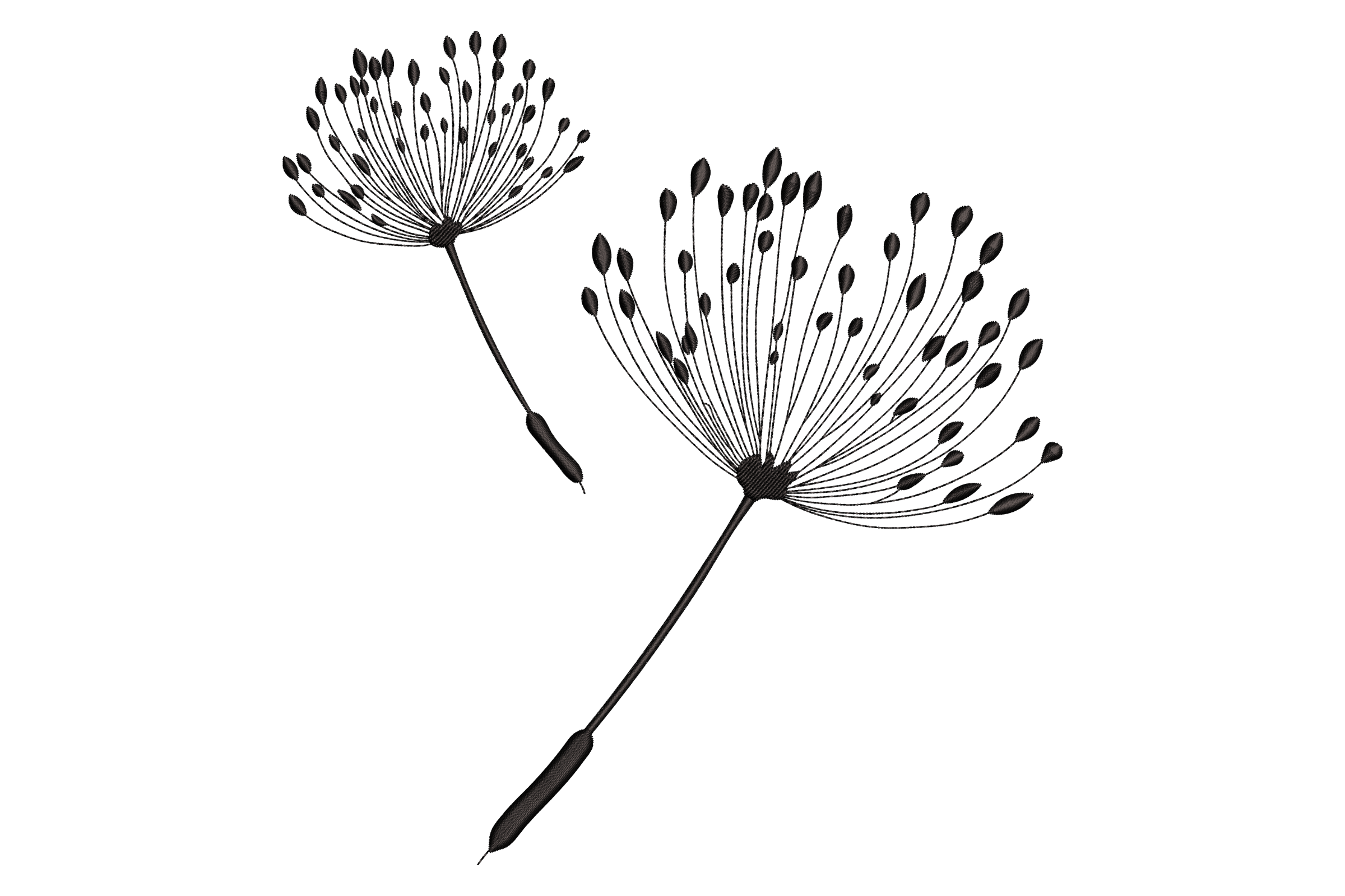 Dandelion Seed Embroidery Design