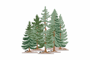 Evergreen Pine Forest Embroidery Design