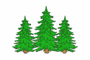 Evergreen Pine Trees Embroidery Design