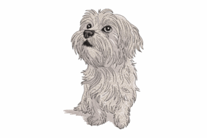 Fluffy Dog Embroidery Design