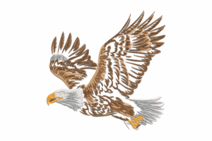 Flying Bald Eagle Embroidery Design