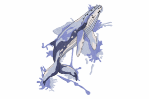 Humpback Whale Embroidery Design