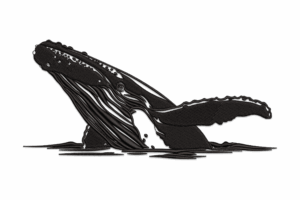 Humpback Whale Silhouette Embroidery Design