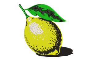 Lemon Fruit Embroidery Design