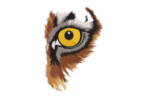 Owl Eye Embroidery Design