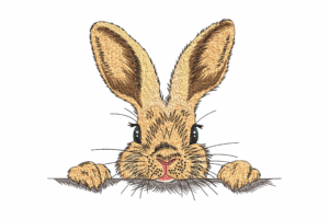 Peeking Bunny Embroidery Design