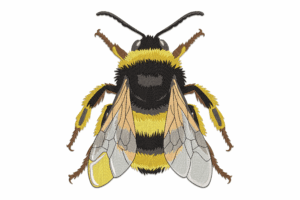 Realistic Bee Embroidery Design