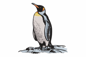 Realistic Emperor Penguin Embroidery Design