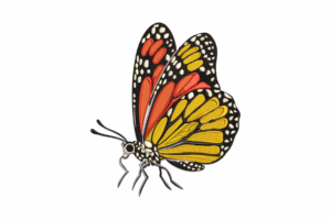 Realistic Monarch Butterfly Embroidery Design