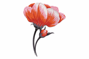 Red Poppy Bloom Embroidery Design