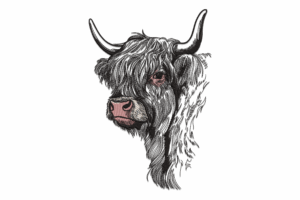 Rustic Sketch Highland Cow Embroidery Design