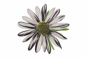 Sketch Daisy Flower Embroidery Design