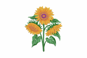 Sunflower Trio Embroidery Design