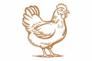 Brown Chicken Line Art Embroidery Design