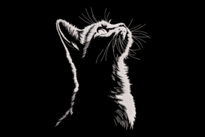 Cat Looking Up Embroidery Design