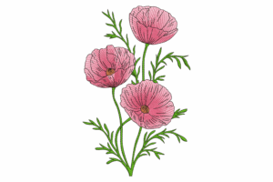 Delicate Pink Poppy Flower Embroidery Design