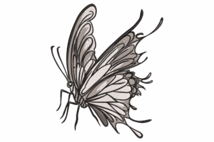 Elegant Black and White Butterfly Embroidery Design