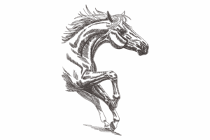 Elegant Rearing Horse Embroidery Design