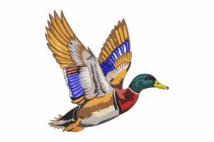 Flying Duck Embroidery Design
