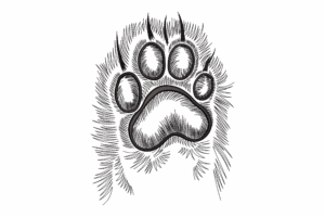 Furry Animal Paw Embroidery Design