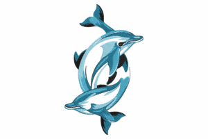 Graceful Dolphin Duo Embroidery Design