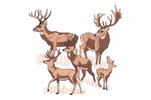 Group of Deer Embroidery Design