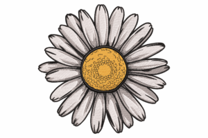 Hand-Drawn Daisy Flower Embroidery Design