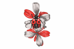 Ladybug on Flower Embroidery Design