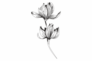 Line Art Flower Duo Embroidery Design