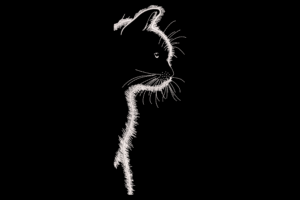 Minimalist Cat Silhouette Embroidery Design