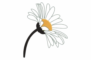 Minimalist Single Daisy Flower Embroidery Design