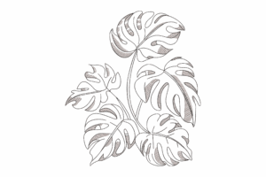 Monstera Leaf Outline Embroidery Design