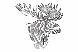 Moose Head Embroidery Design