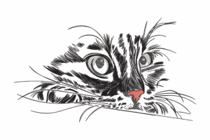 Peeking Cat Face Embroidery Design