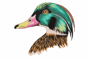Colorful Duck Head Embroidery Design