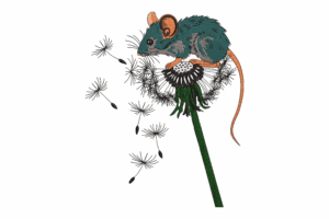 Mouse on Dandelion Embroidery Design