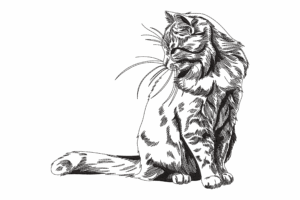 Sitting Cat Sketch Embroidery Design