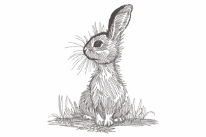 Sketch-Style Bunny Embroidery Design